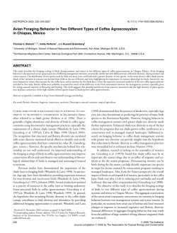 Avian Foraging Behavior in Two Different Types of Coffee