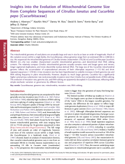 Insights into the Evolution of Mitochondrial