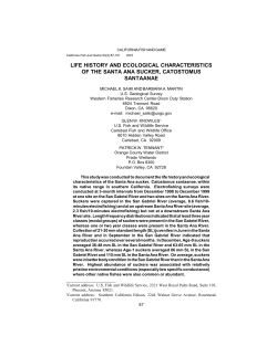 life history and ecological characteristics of the santa ana sucker