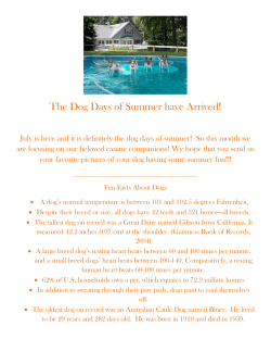 The Dog Days of Summer have Arrived!