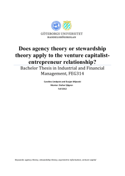 Does agency theory or stewardship theory apply to the
