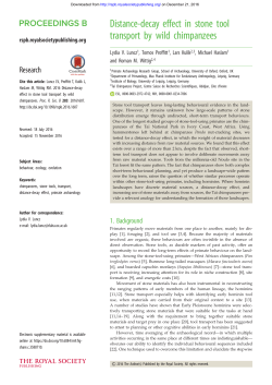 Distance-decay effect in stone tool transport by wild chimpanzees