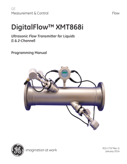 DigitalFlow XMT868i Programming Manual 2 MB
