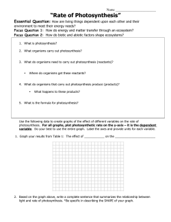 Rate of Photosynthesis