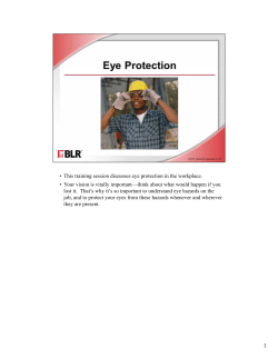 Eye Protection - (BLR)&reg; safety