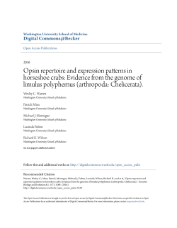Evidence from the genome of limulus polyphemus (arthropoda