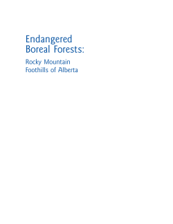 Endangered Boreal Forests