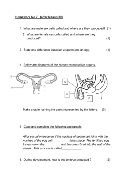 Homework No 7 (after lesson 20) 1. What are male sex cells called