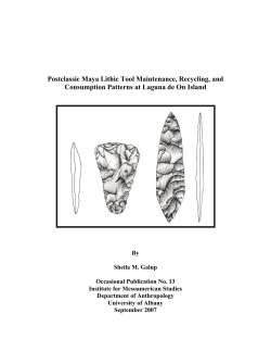 Postclassic Maya Lithic Tool Maintenance, Recycling