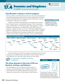 Domains and Kingdoms