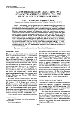 Acorn Preference of Urban Blue Jays (Cyanocitta Cristata) During