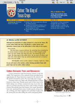 Cotton: The King of Texas Crops Cotton: The King of Texas Crops