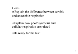 Goals: • Explain the difference between aerobic and anaerobic