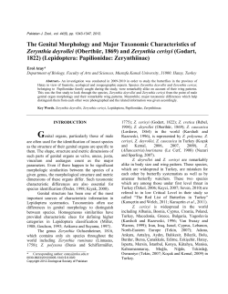 and Zerynthia cerisyi - Zoological Society Of Pakistan