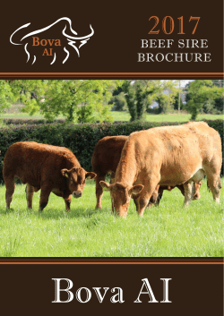 beef sire brochure - Bova-AI