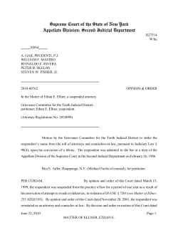 Ethan E. Ellner - New York State Unified Court System