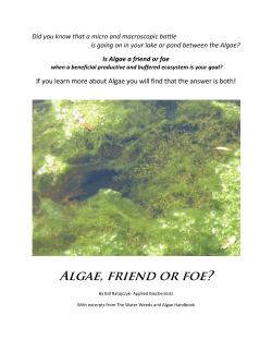 AlGAE, FRiENd OR FOE?
