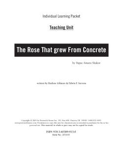 The Rose That grew From Concrete