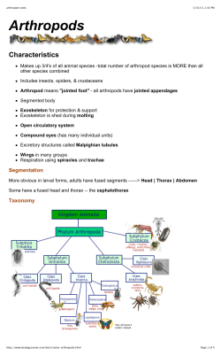 arthropod notes
