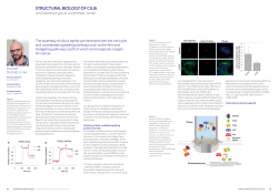 STRUCTURAL BIOLOGY OF CILIA