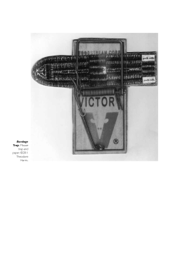 Mr. Kristof, I Presume?