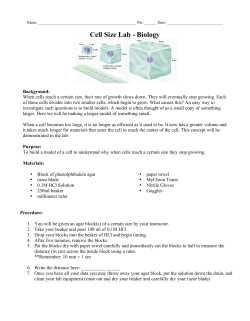 Cell Size Lab agar - Hamilton Local Schools