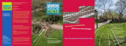 excellent historic map of Dock Creek and vicinity