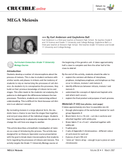 CRUCIBLEonline MEGA Meiosis CRUCIBLEonline