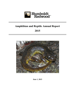 Amphibian and Reptile Annual Report 2015