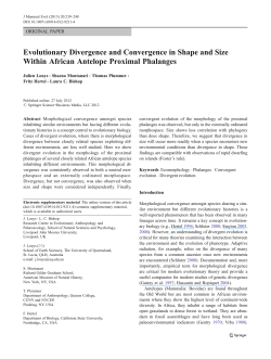 Evolutionary Divergence and Convergence in Shape and Size