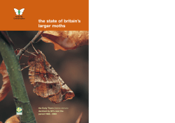 the state of britain`s larger moths