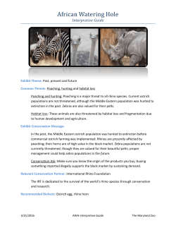 African Watering Hole - The Maryland Zoo in Baltimore