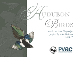 Audubon Birds - Palos Verdes Art Center