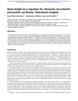 Gene length as a regulator for ribosome recruitment and protein