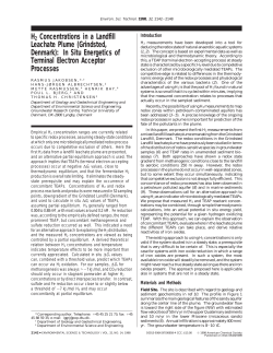 H2 Concentrations in a Landfill Leachate Plume (Grindsted, Denmark)