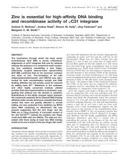 Zinc is essential for high-affinity DNA binding and