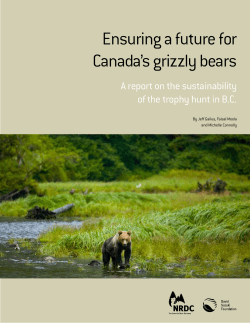 Ensuring a Future for Canada`s Grizzly Bears: A Report