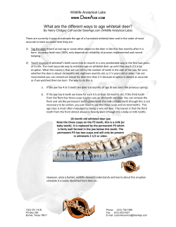 What are the different ways to age whitetail deer?