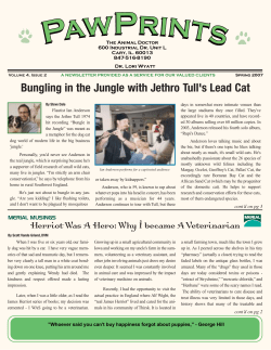 Bungling in the Jungle with Jethro Tull`s Lead Cat
