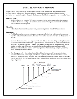 Lab: The Molecular Connection
