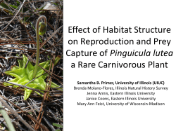 Effect of Habitat Structure on Reproduction and Prey Capture of