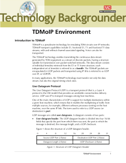 TDMoIP Environment