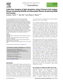 Label-free imaging of lipid dynamics using