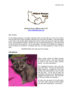 Please see our 2015 Cat Stories