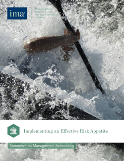 Implementing an Effective Risk Appetite