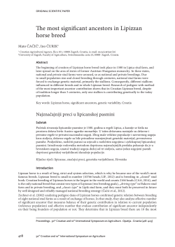 The most significant ancestors in Lipizzan horse breed