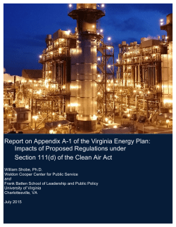 Report on Appendix A-1 of the Virginia Energy Plan: Impacts of