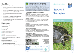 100 Turtles and terrapins - The Ornamental Aquatic Trade Association