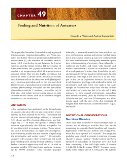 Chapter 49 - Feeding and Nutrition of Anteaters