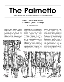 The Palmetto - Florida Native Plant Society
